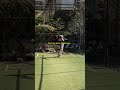 cricket #1M #youtubeshorts #shorts#viral