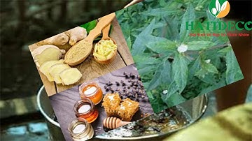 5 BÀI THUỐC CHỮA RỤNG TÓC TỪ DÂN GIAN