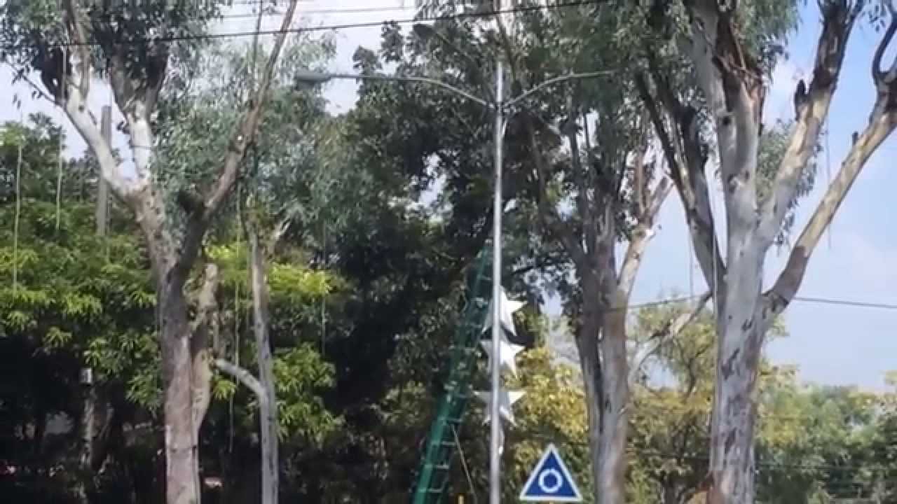 Small DEMON Creature w/ Portal Ladder Caught on Tape!