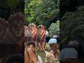 Surprise prank by boys group😱😅😱#viral #shorts #prank #feedshorts