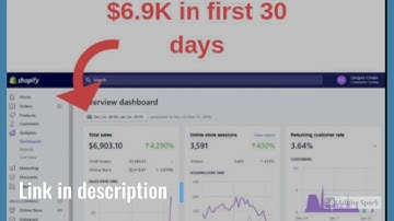 I will build you a high converting dropshipping shopify store website