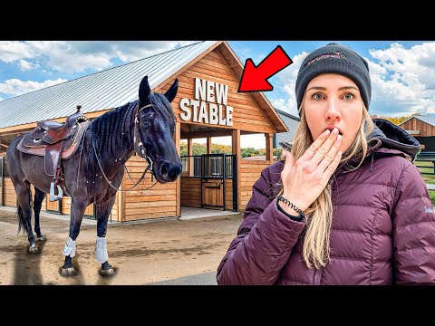 BOBBY zieht UM😨😨  #westernreiten