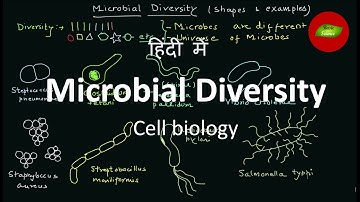 Microbial diversity in Hindi | Microbes in Hindi | Cell Biology | Basic Science Series