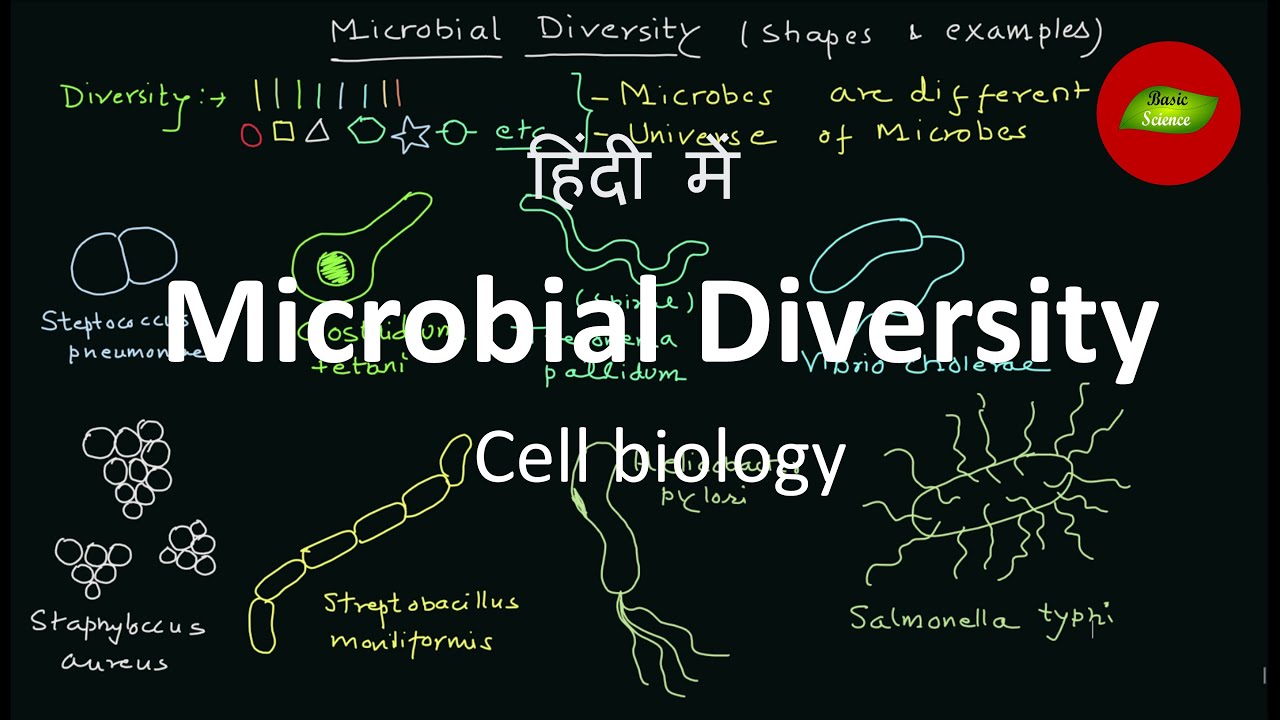 Microbial diversity in Hindi | Microbes in Hindi | Cell Biology | Basic Science Series