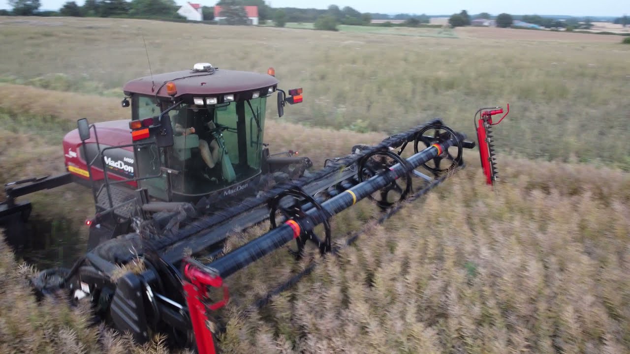 Henrik Have's Maskinstaion - Skårlægning af Raps