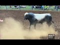 Port Vila rodeo draws fans for a weekend of action and fun | VBTC Sport