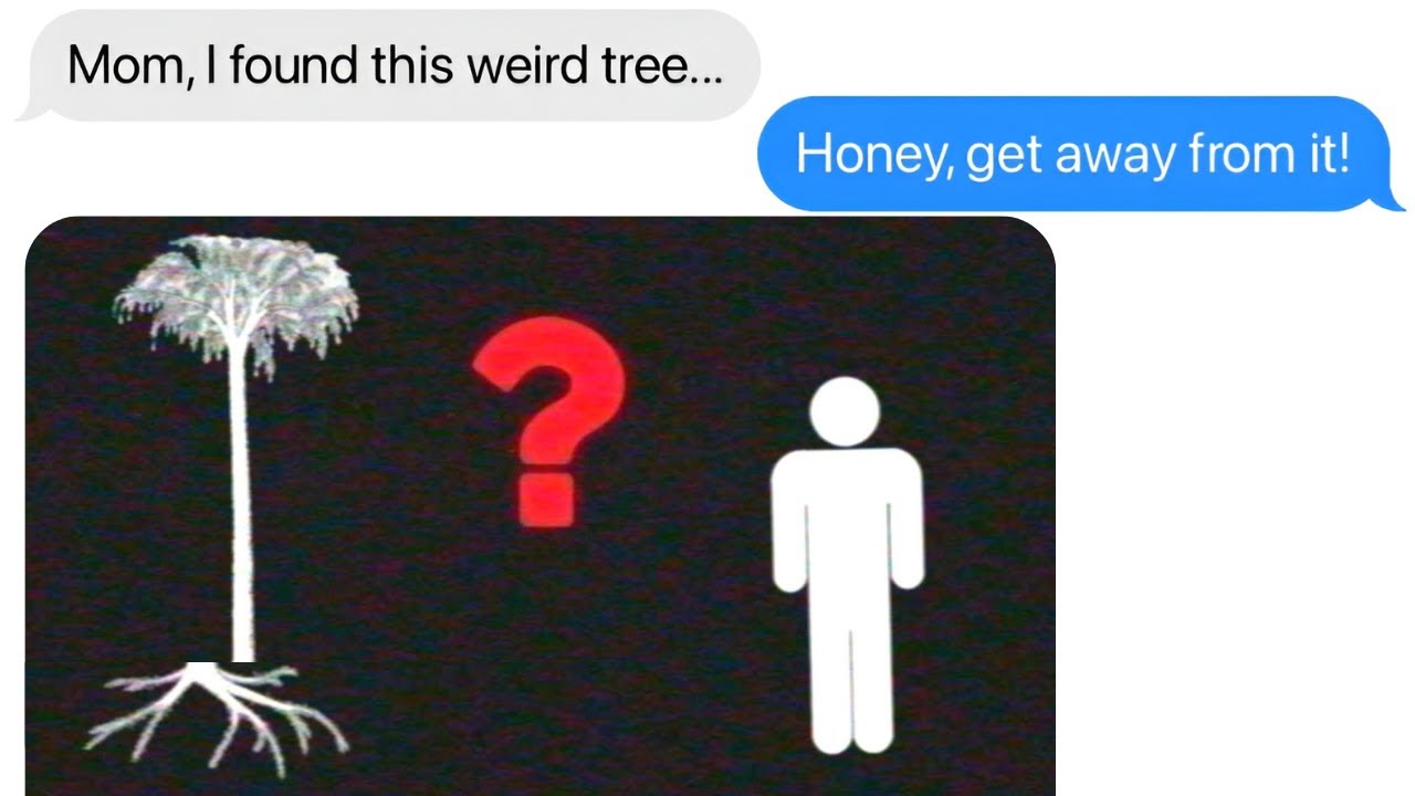 Have You Seen This Tree? | VHS Analog Horror