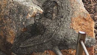 龍神の住むパワースポット【竜宮神社】強力なエネルギーを感じてみてください✨