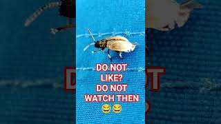 #shorts #viral #howto #tips #latest #subscribers #newest #subs #top10 #livestream #iphone