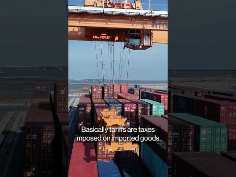 How do the Trump tariffs work? Who pays, who collects and more #politics