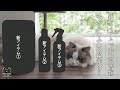 【猫初心者】新アイテムで猫のお風呂タイムを時短に!毛がふわふわの秘密は?