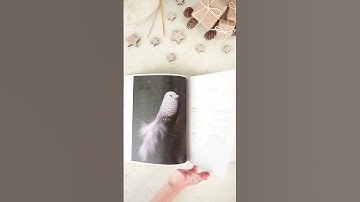 Nordic Christmas Crochet Flip Through #shorts