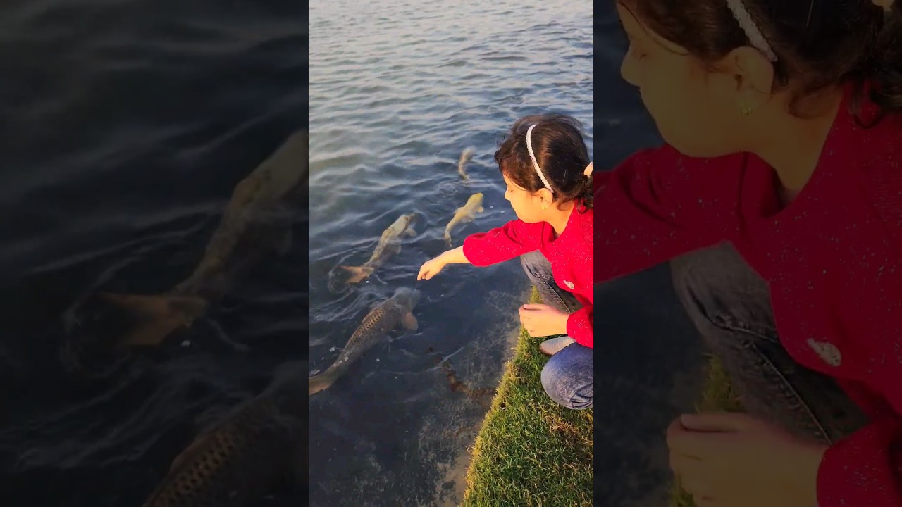 Love Lake Dubai ♥️ 