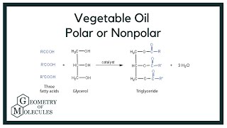 Vegetable Oil Polar or Nonpolar: Check Polarity