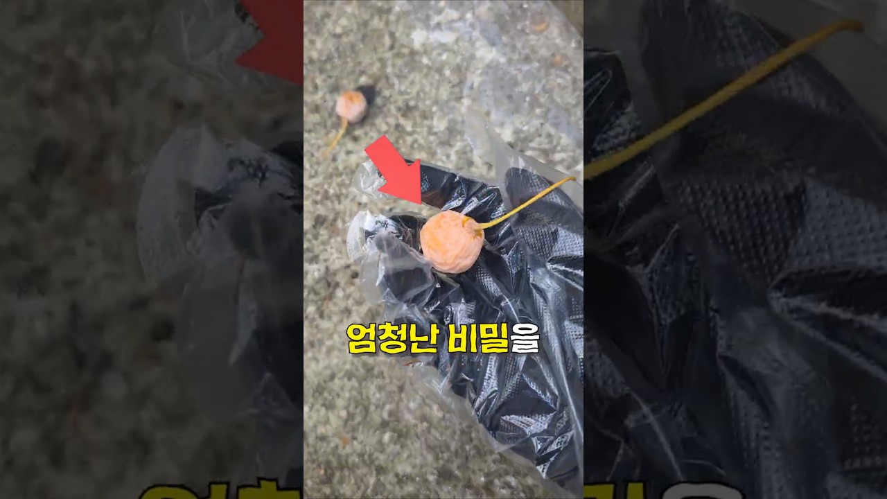냄새만 맡았지 이런 건 몰랐음