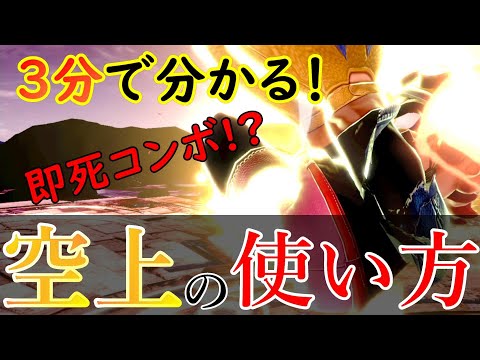3分で分かる！ワリオの空上の使い方講座(コンボ・撃墜・立ち回り)【スマブラSP】