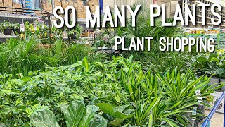 Plant Shopping at Lowes 2022 | So Many Houseplants | Big Box Store HousePlant Shopping Shop with Me