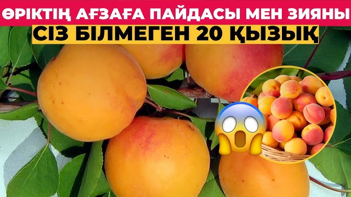 Үйдегі әуесқойлық орыс порносы