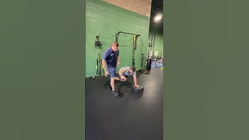 Elevated Bear Plank 90-90 ER to Overhead Press with Rhythmic Stabilization