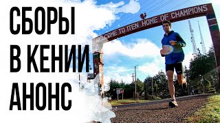 СБОРЫ В КЕНИИ. АНОНС. Бегаем и тренируемся на родине Кипчоге.