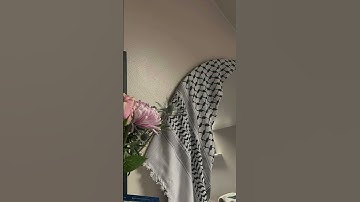 #اكسبلور #لايك #quran #المصحف #الرحمن #غزة #فلسطين #ترند #gaza #تلاوة_خاشعة