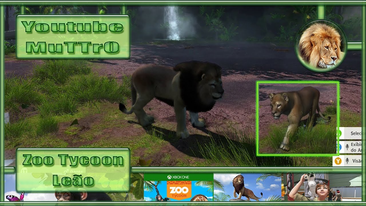 Zoo Tycoon - #09 - Leão - Xbox One - PT-BR - YouTube