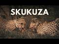 Ep. 9 | Kruger National Park - SKUKUZA in Summer