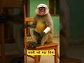साली को पटा लिया #funny #comedy #monkey #cute #jokes #aalupyajjoke #comedyvideo #funnyshorts