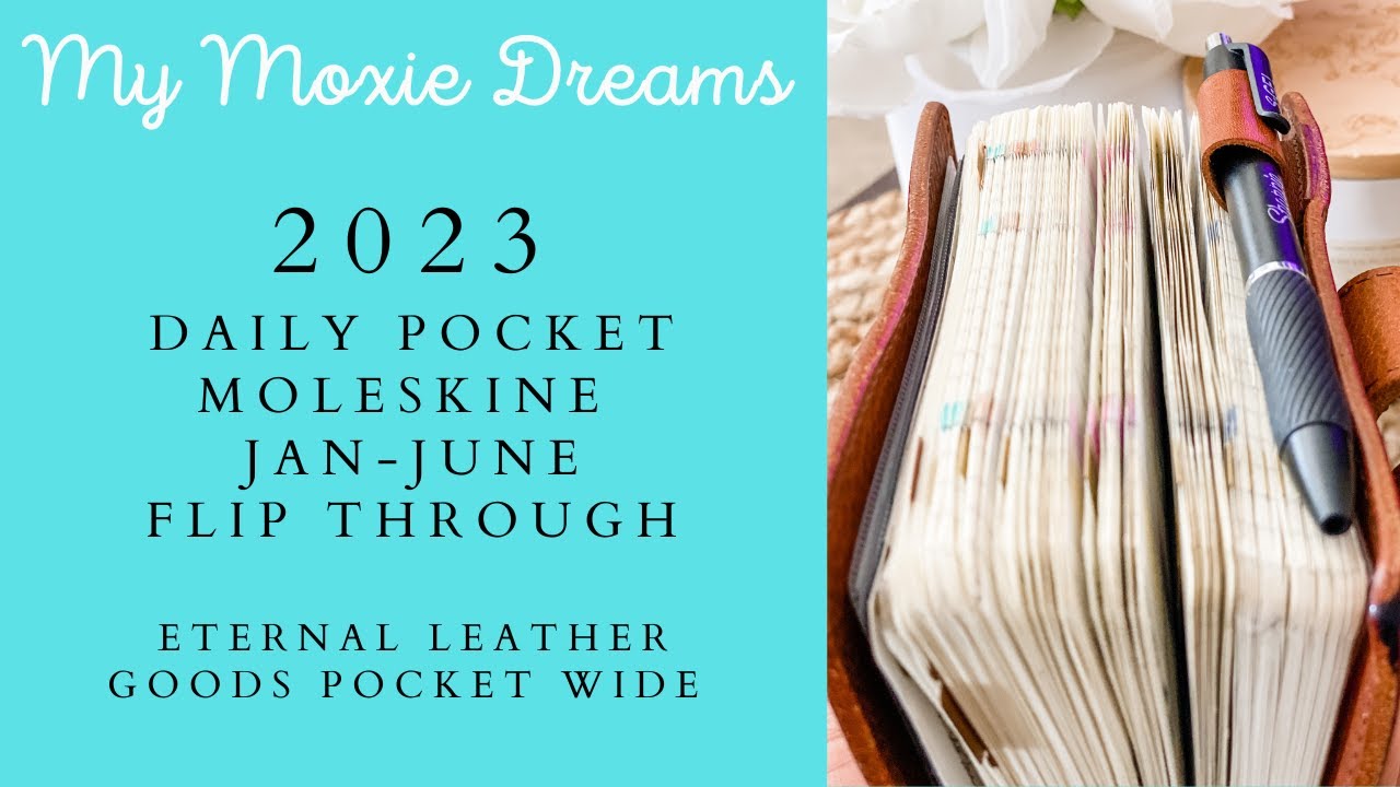 Jan June Flip Through Pocket Moleskine Daily Pocket Planner 2023