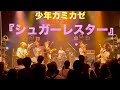 少年カミカゼ『シュガーレスター』 2026年LIVE映像