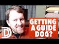 5 Things To Consider BEFORE Getting A Guide Dog | Derek Daniel