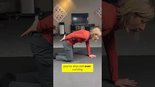 Lower Back & Pelvic Stability Exercise! Try crawling like a baby!