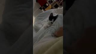 코코랑 손잡기 기싸움😉