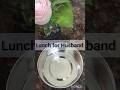 Wife's Duty #dailyvlog #minivlog #from_mom_to_me #lunch #lunchbox #lunchtime #lunchformyhusband