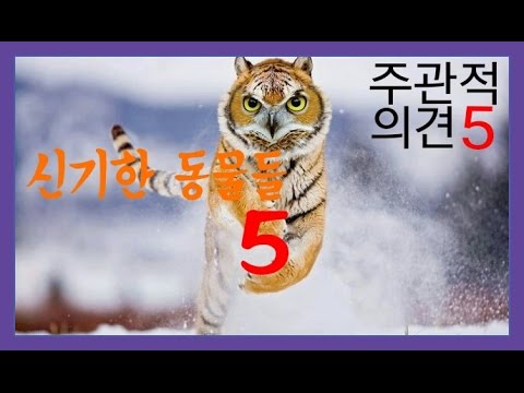 [주관적 의견5] 신기한 동물들 5