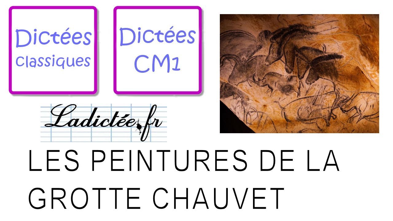 Dictee Histoire Des Arts La Grotte De Chauvet