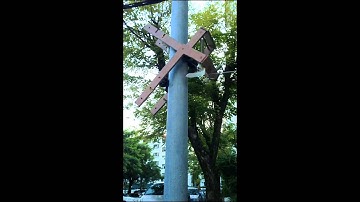 Climbing Model on vertical cylinder pipe