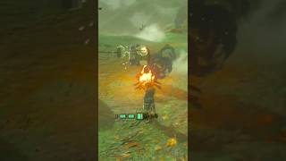 YAHAHA Day 128 of Helping Koroks - Zelda TOTK