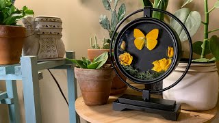 Preserved Roses and Mounted Butterfly Home Decor DIY. Refurbished Clock To Insect Mount