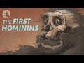 The First Hominins?