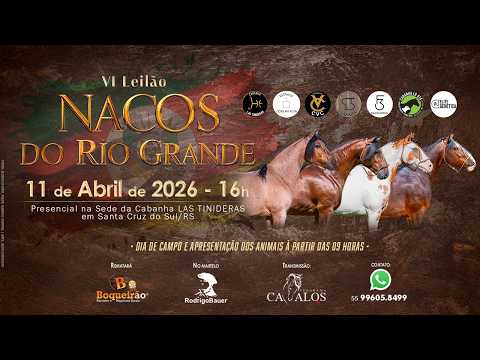 VI LEILÃO NACOS DO RIO GRANDE: OFERTAS IMPERDÍVEIS DE CAVALOS CRIOULOS