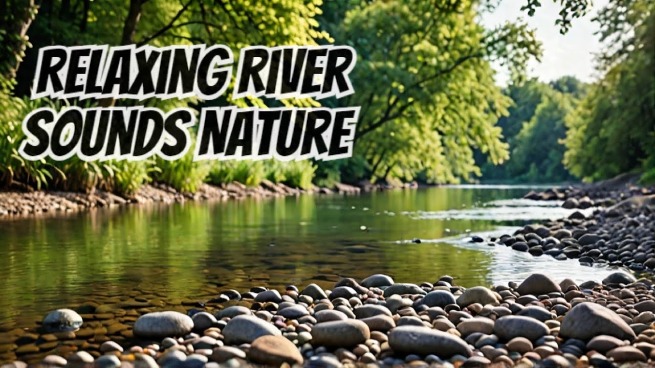 Relaxing River Sound for Study & Focus -  Forest Stream Ambience