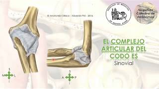 L2.2 | Elbow joint complex | Anatomy 2 | FMed UBA