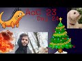 Advent Of Code in Zig - Day 24 | Linear Algebra!