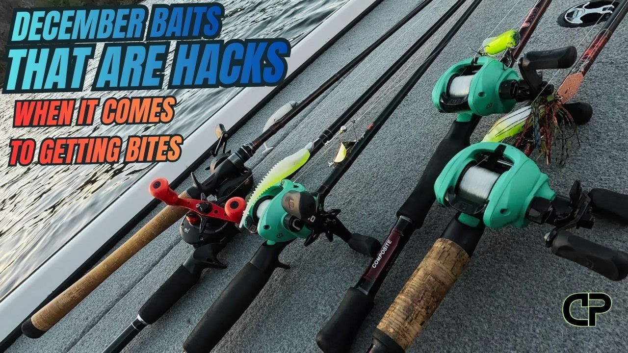 The Baits You Need to Throw in December 2025 For Big Bass