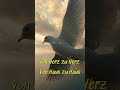 🕊️ Flieg kleine Taube – ein Lied voller Hoffnung #shorts#musik#musicshorts#suntor#fliegkleinetaube