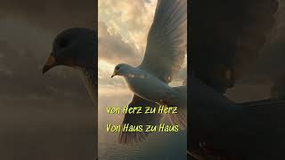 🕊️ Flieg kleine Taube – ein Lied voller Hoffnung #shorts#musik#musicshorts#suntor#fliegkleinetaube