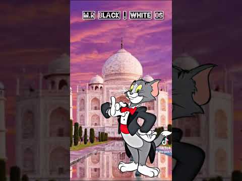 اياحلوةالوجه انت الهدى ومن مقلتيك فؤادي اهتدى وماذا سيفعل قلب جريح رمته عيونك فاستشهدا 