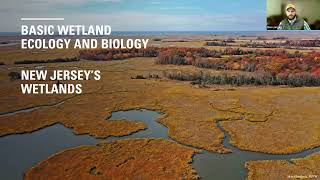 Born on the Bayou: Wetlands in New Jersey