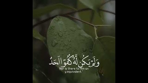 الشيخ ماهر المعيقلي - سورة الإخلاص ثلث القرآن